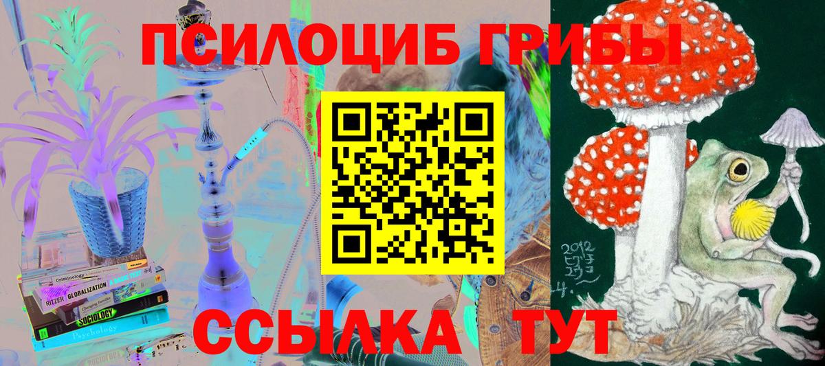 Галлюциногенные грибы Psilocybe Шатура