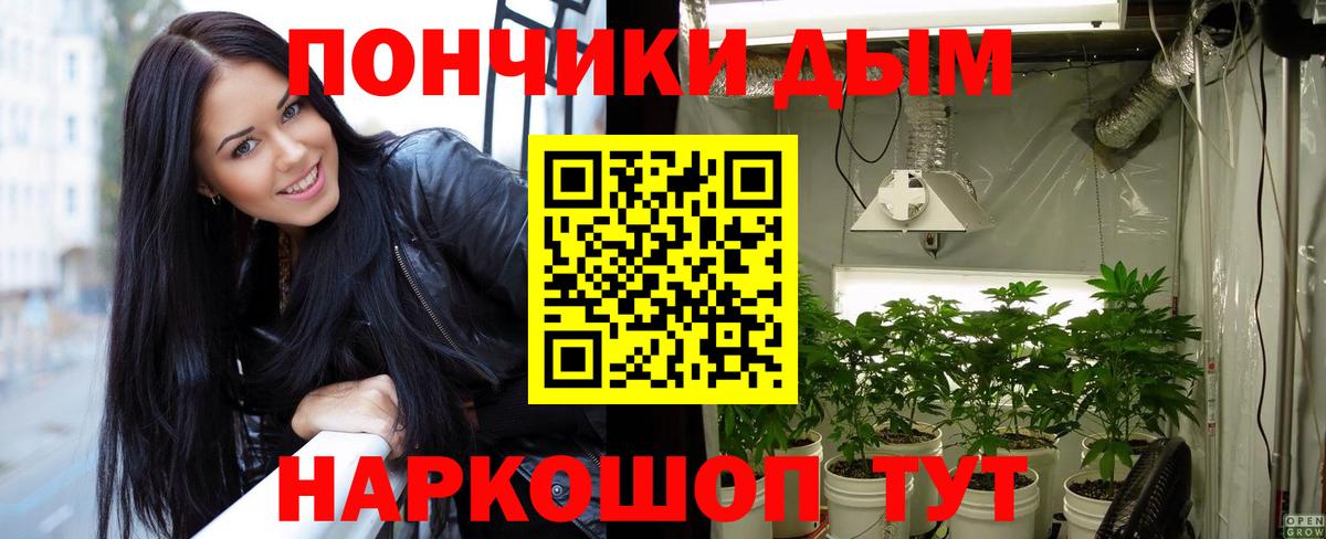 Канабис MAZAR  Вход с VPN  Бошки марихуана сатива  Шатура  МАРИХУАНА план 
